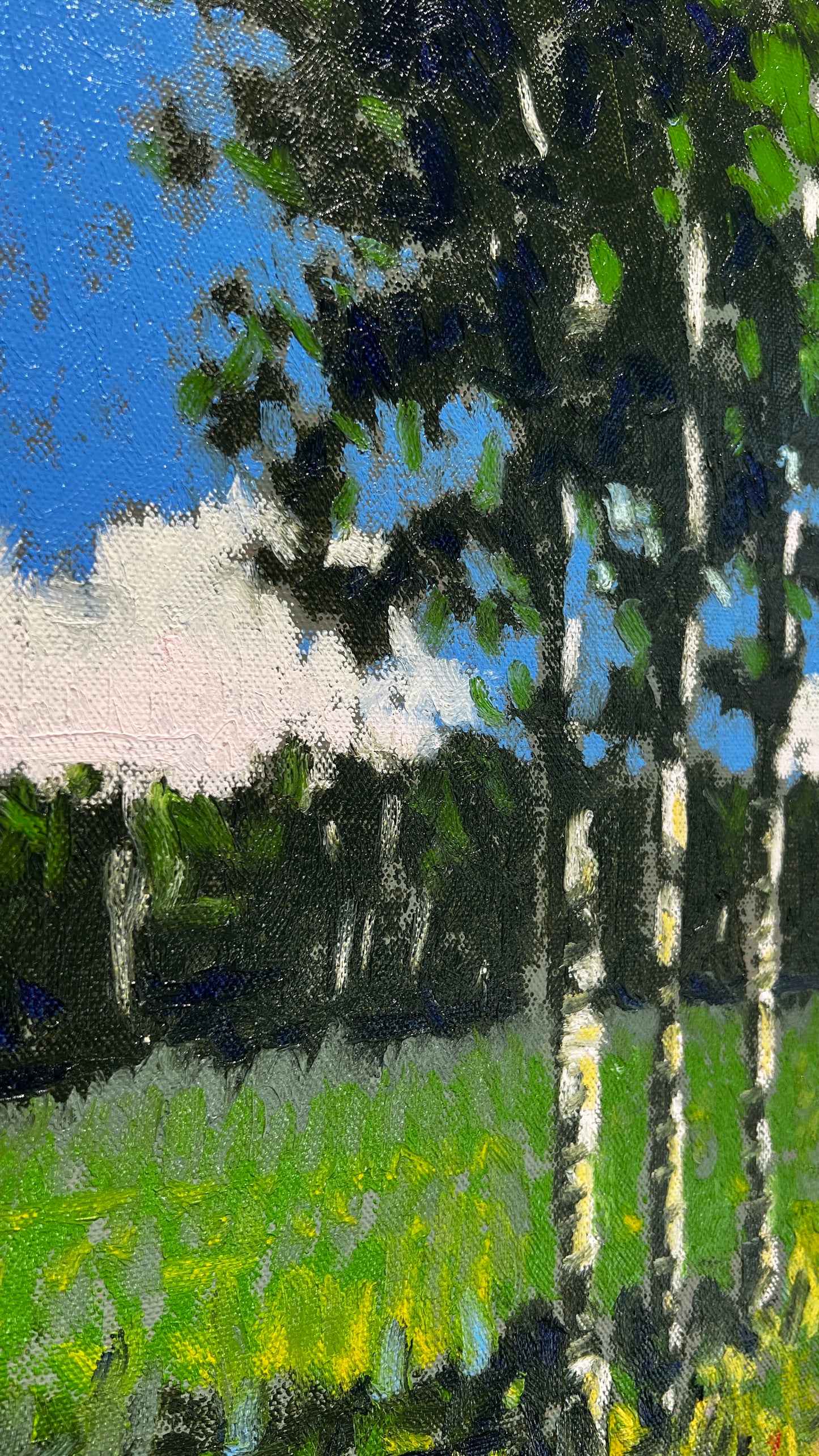 The Long Road to Joy