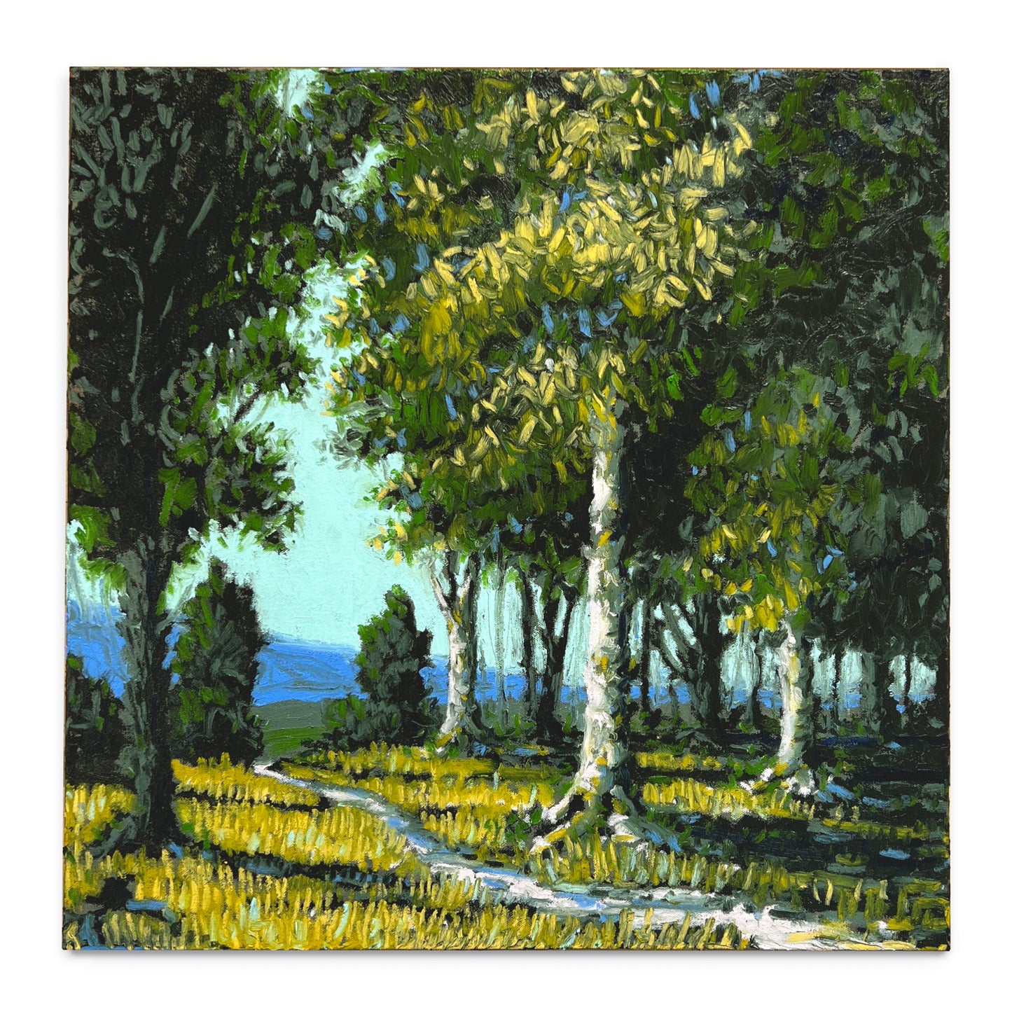 The Woods Behind, the Warmth Ahead