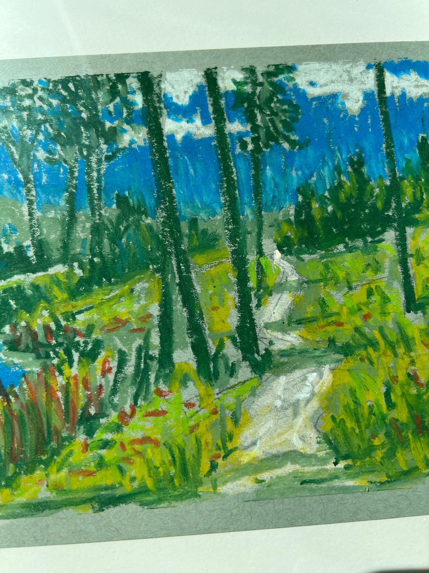 Peaceful Paths 001