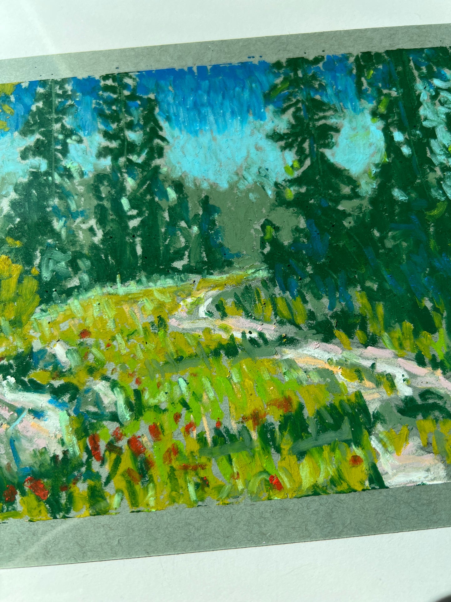 Peaceful Paths 003